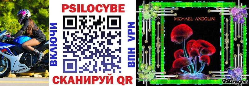 Псилоцибиновые грибы Cubensis  Богучар 